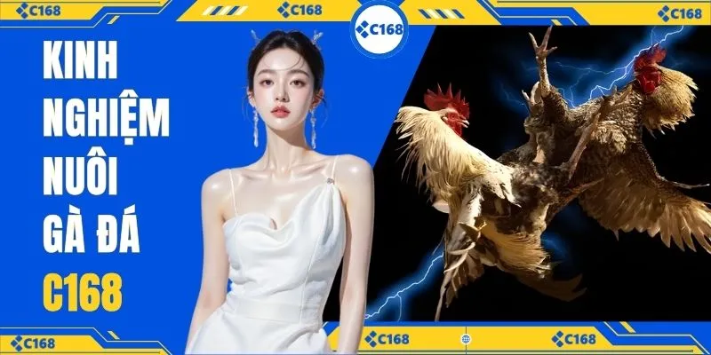 kinh nghiệm nuôi gà đá